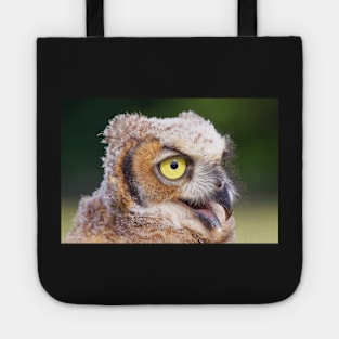 Owl Tote