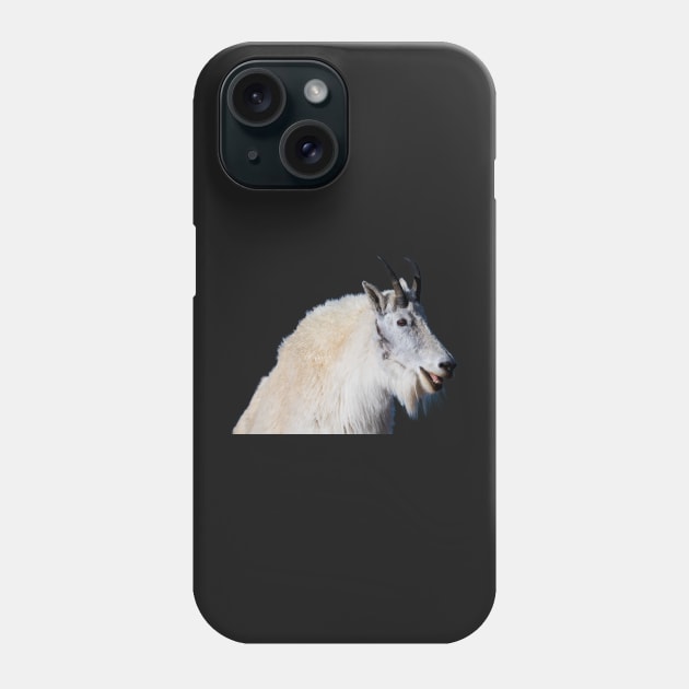 Laughing Goat Phone Case by gdb2