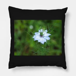 Love-in-a-Mist flower with dew drops Pillow