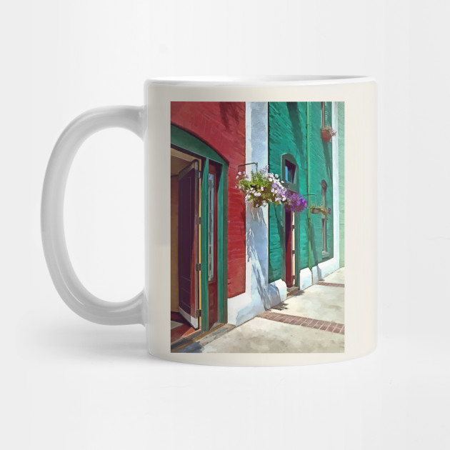 Roanoke Va Doors And Hanging Baskets Roanoke Va Mug Teepublic