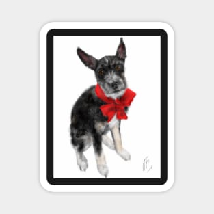 Pooch With a Red Bow Magnet