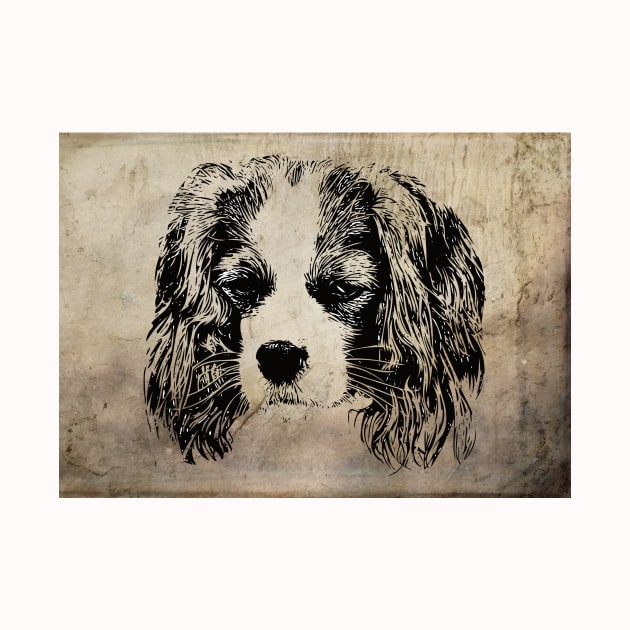 Cavalier King Charles Spaniel by DoggyStyles