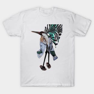 Funny Bird Nerd Birdwatcher T-shirt, Owl Parrot, Zany Brainy-CL – Colamaga