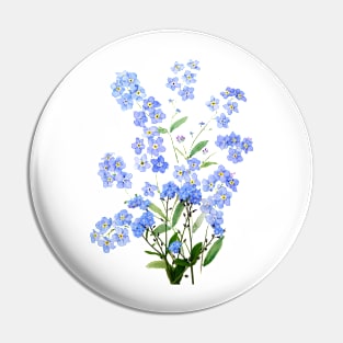 blue forget me not 2024 Pin