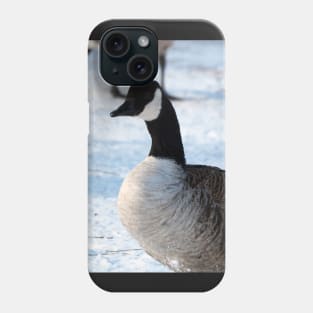 Canada Goose Standing On The Snow Phone Case