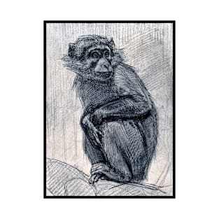 Monkey on Branch 1879 August Allebe T-Shirt