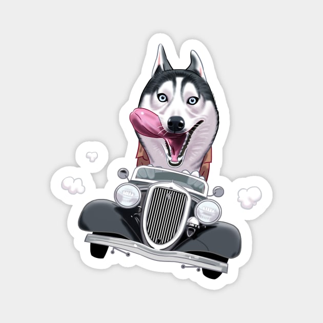 Siberian Husky Driving a Classic Car Magnet by Toss4Pon