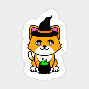 Cute orange cat is a witch Magnet