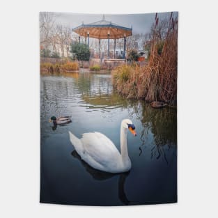 swan and wild ducks on water Tapestry