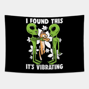 Alien Cat I Found This It's Vibrating Ufo Tapestry