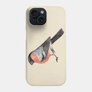 Eurasian bullfinch bird Phone Case