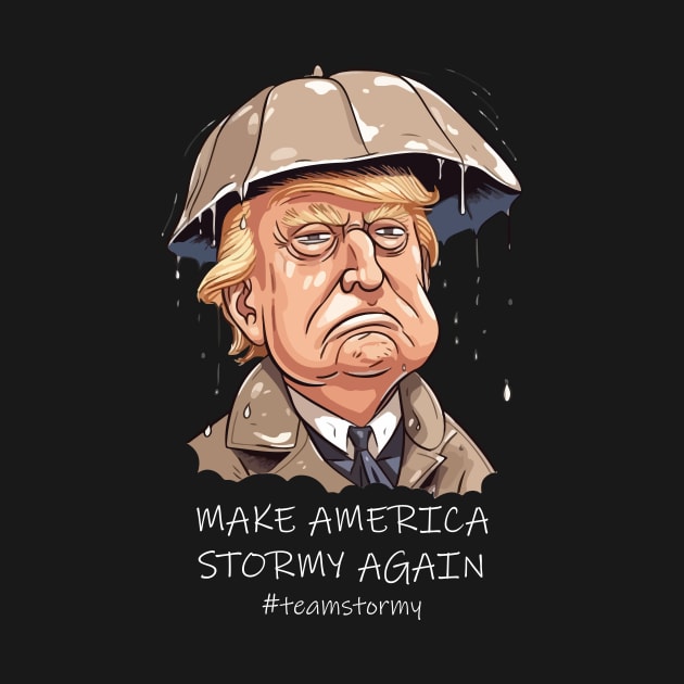 Make America Stormy Again by vectrus