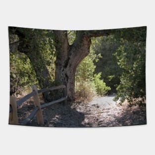 Path to Green Valley Tapestry