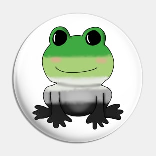 Aromantic Frog Pin