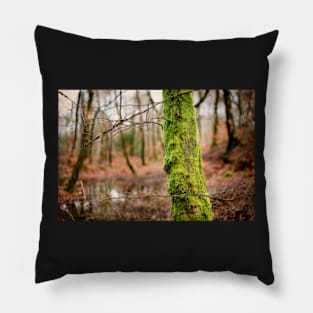 Moss Green Pillow