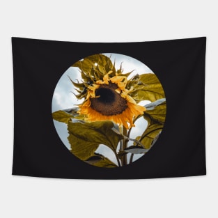 Stormy Sunflower Photograph Tapestry