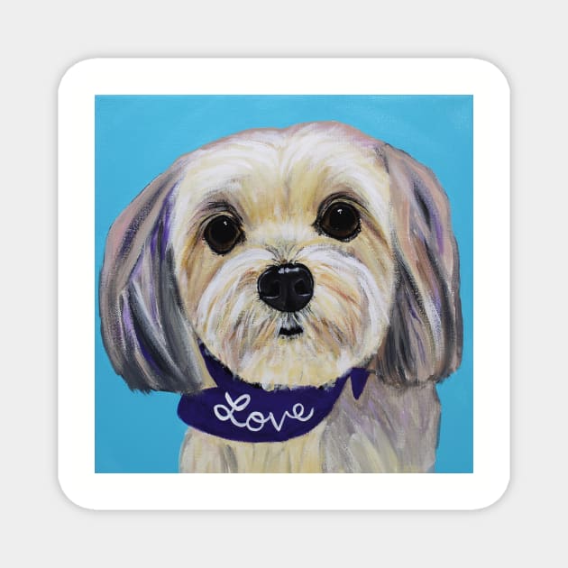 Love, Sofia the Morkie Magnet by AmandaAAnthony