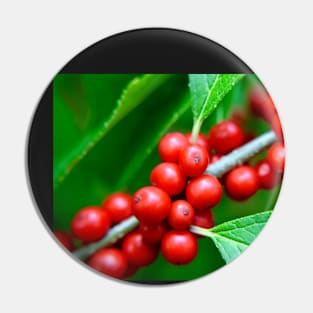 Ruby Red Berries Pin