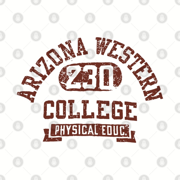 Vintage arizona western college 230 by ICO DECE