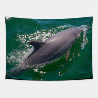 The Dolphin! Tapestry