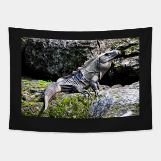 Lézard du Mexique Tapestry