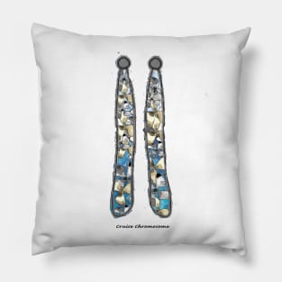 Cruise Chromosome Pillow