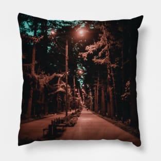 Magical park Pillow