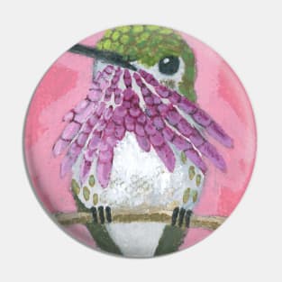 Calliope Hummingbird Pin