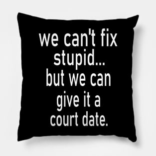 we can't fix stupid but we can give it a court date Pillow