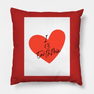 I Love EarthMix Moonlight Chicken Pillow