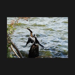 Cormorant on a Lake T-Shirt