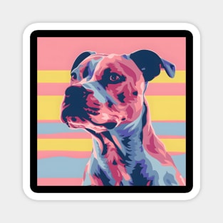 Staffordshire Bull Terrier in 80's Magnet