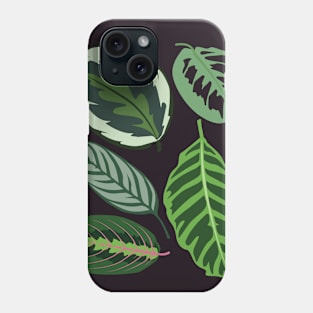 Maranta Leaves Phone Case