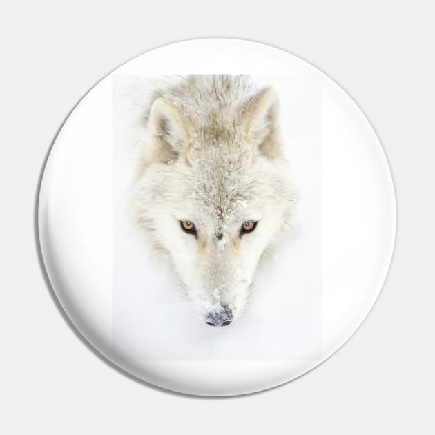 Arctic Wolf Pin by Jim Cumming