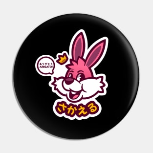 Prosperous Bunny Pin