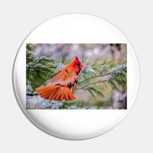 Christmas Cardinal Pin