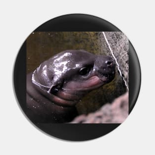 Baby Hippo Pin