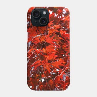 Japanese Maple Tree Phone Case