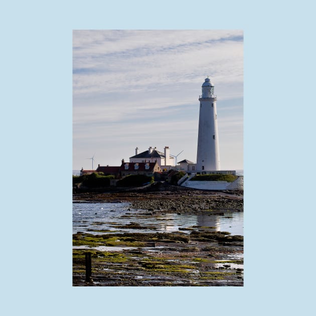 St Mary's Island Portrait by Violaman