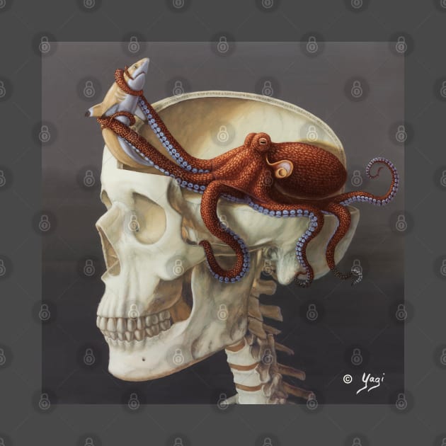 Octoskull by Sandra Yagi