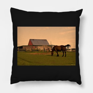 Sunset at Hatfield Farm Pillow