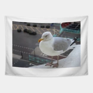 A European Herring Gull Tapestry