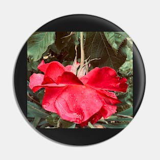 Hang Loose with the Red Rose - Things Are Going to Get Better! Pin