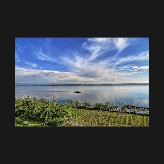 A Tourist Vessel in Spring Time on Lake Constance by holgermader