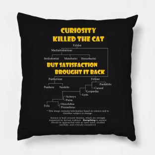 Curiosity and the Cat Pillow