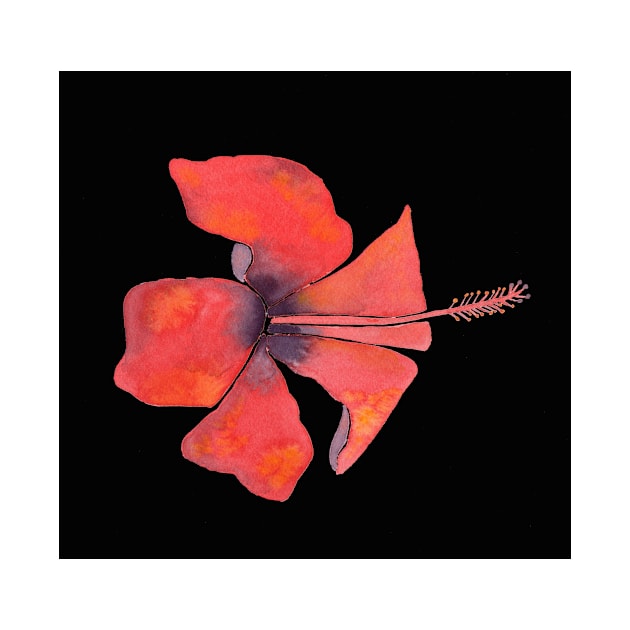 Red Hibiscus Tropical Watercolor Illustration with a black background by Sandraartist