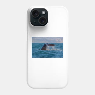 Whale Diving 3 Phone Case