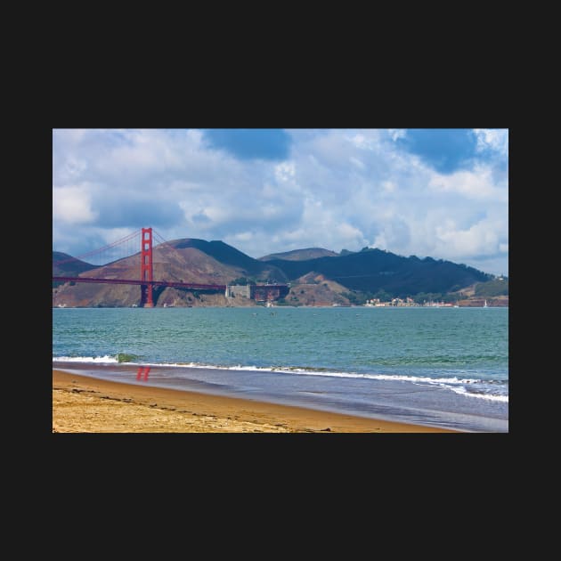 Golden Gate Cloudy Day Pelicans by daviddenny