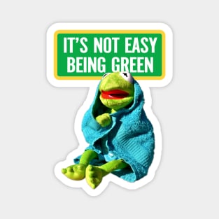 Kermit: "It's not easy being green", Kermit the frog Magnet