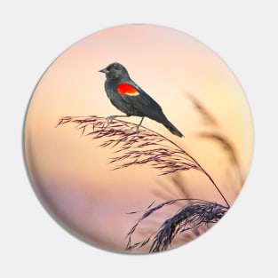 Red Winged Blackbird Sunset Pin